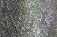 Dryden fibreglass roof work